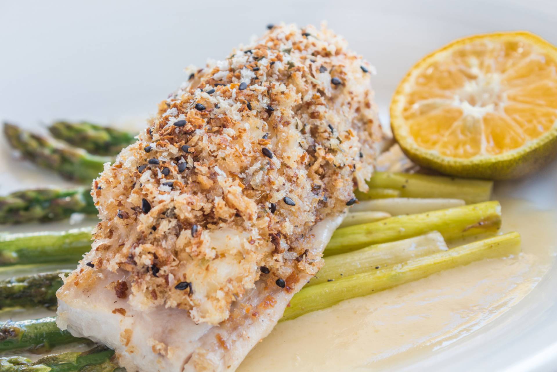 Macadamia Crusted Mahi Mahi - Five Eggs